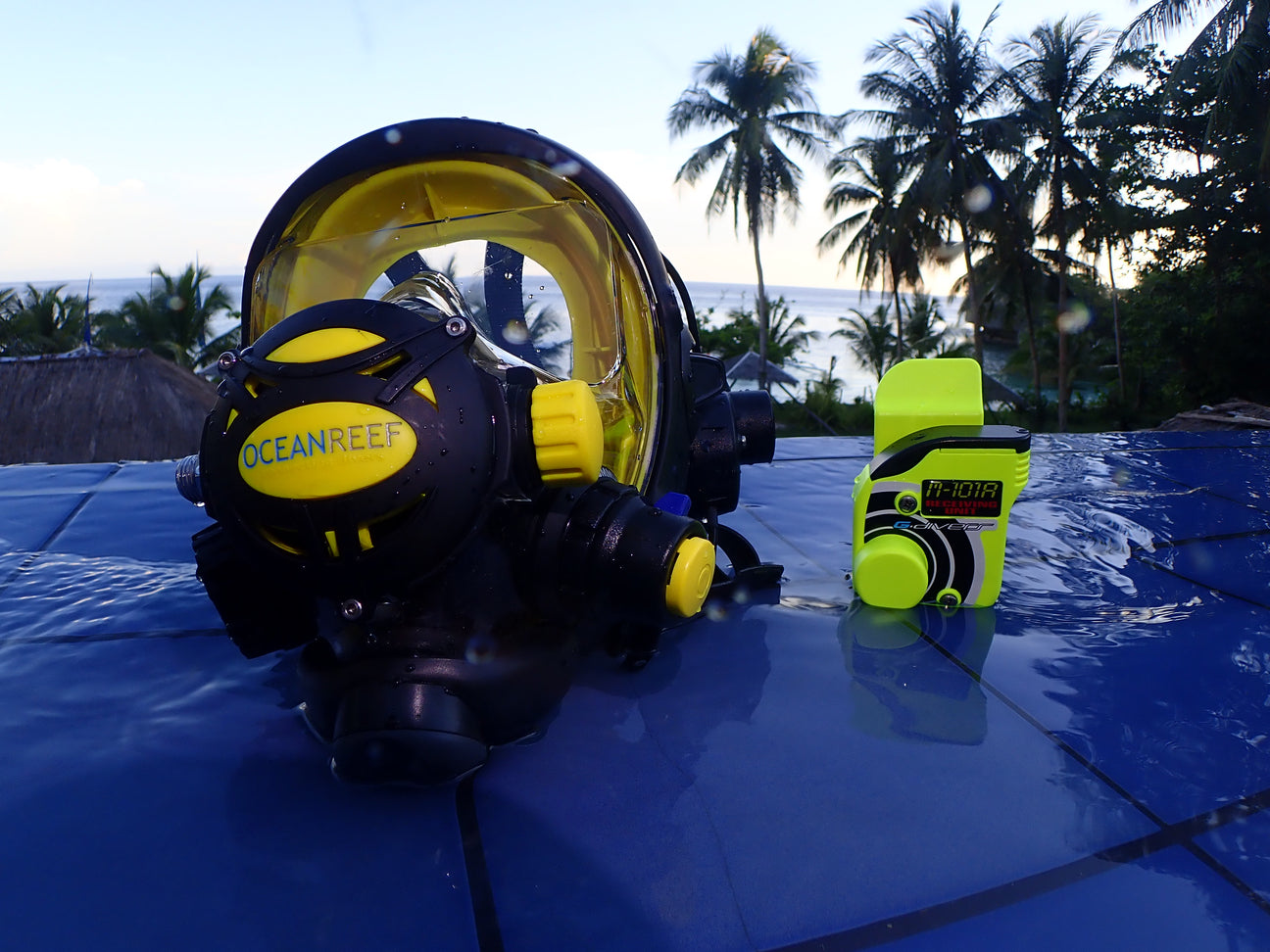 Integrated Dive Mask Accessories