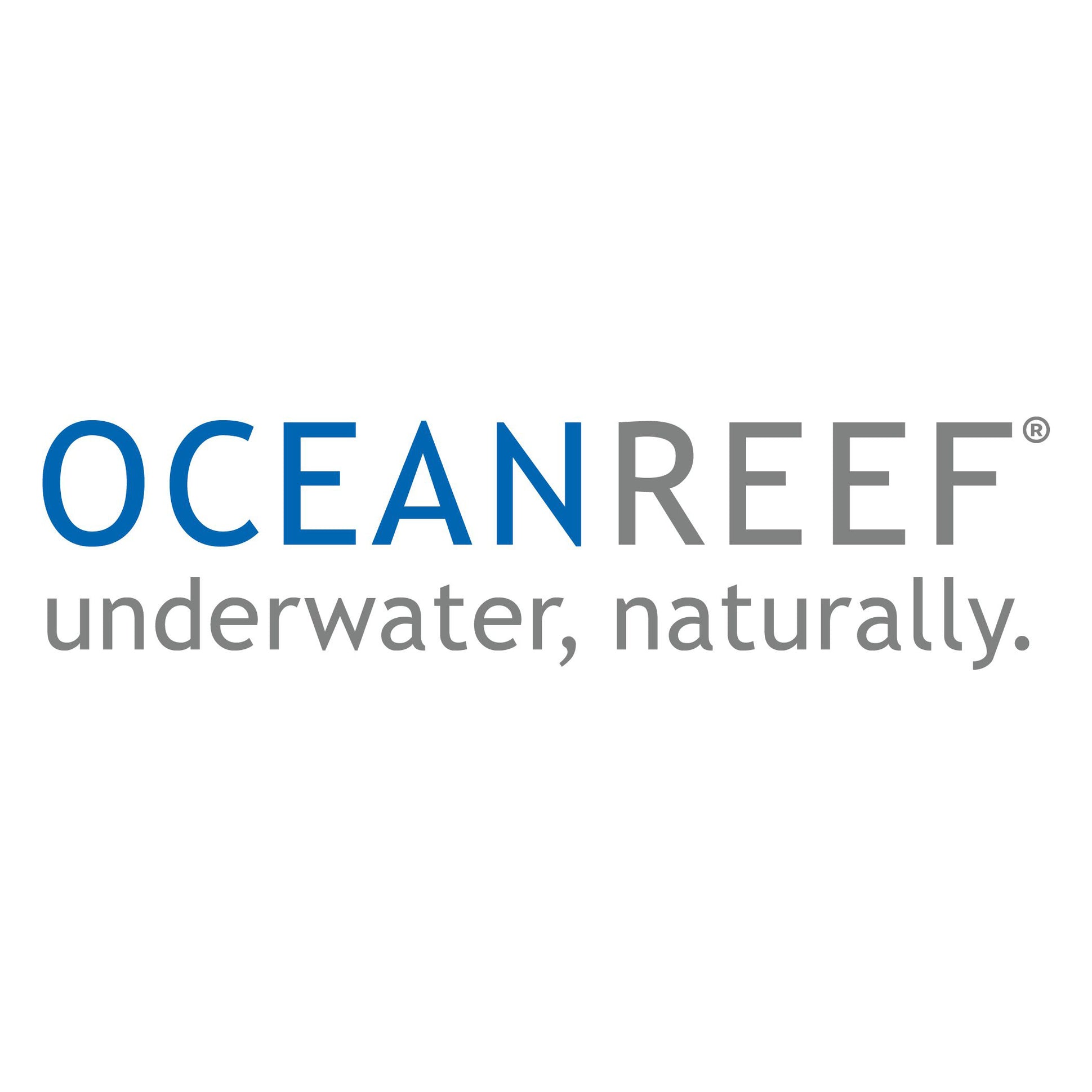 Ocean Reef IDM