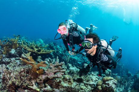 A Comprehensive Guide to Choosing the Best Scuba Diving Gear for Your Adventure