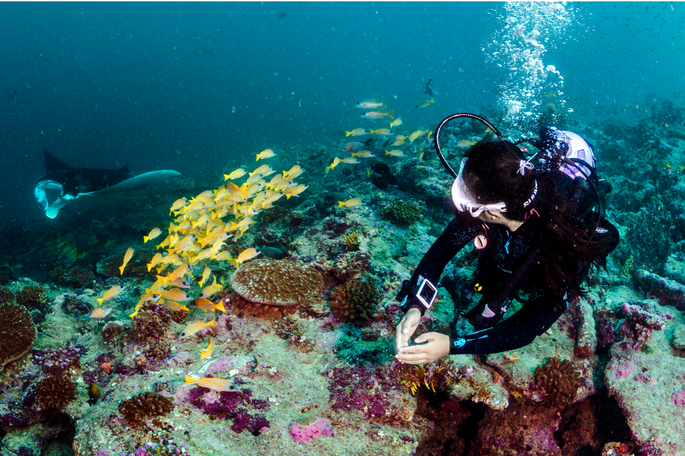 The Connection Between Scuba Diving and Marine Conservation