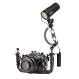 BigBlue 10,000 Lumen Video Light Plus Remote Control, Warm White w/ Red and Blue Modes-